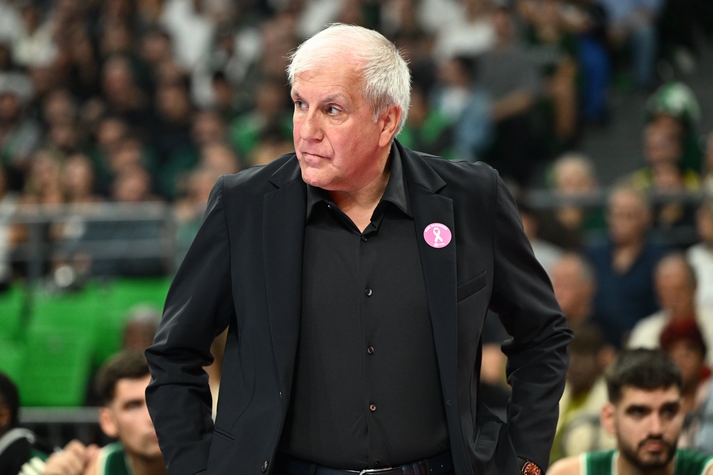 Željko Obradovičius<br> Vangelio Stolio nuotr.
