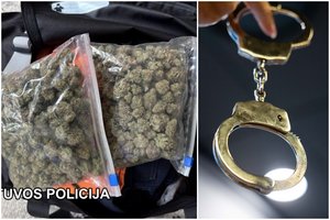 Šilalės pareigūnų rankose atsidūrė 7 kg kanapių – sulaikyti trys įtariamieji