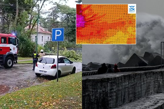 Skelbia, kur vėjas siautėjo smarkiausiai: virto medžiai, kai kur sutriko elektros tiekimas