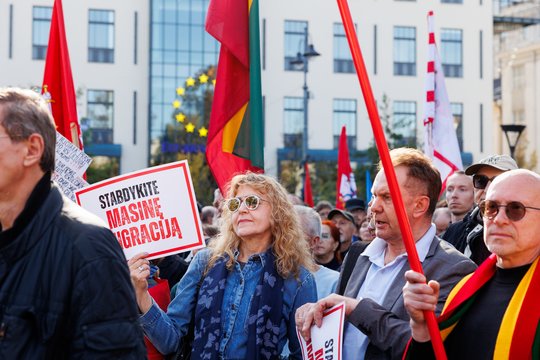 Dėl migracijos ateities Lietuvoje – rimtas įspėjimas: ragina imtis veiksmų jau dabar