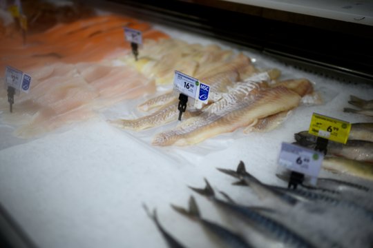 Žuvyje iš Lietuvos latviai surado pavojingą bakteriją: produktą skubiai išima iš lentynų