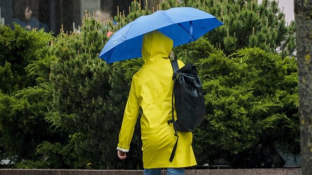 Savaitės pradžioje vės: temperatūra kris, kai kur numatomos šalnos ir perkūnija