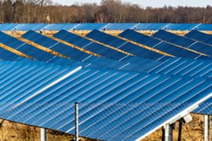 Per dešimt metų tokių elektros gamintojų pagausėjo šimtais kartų