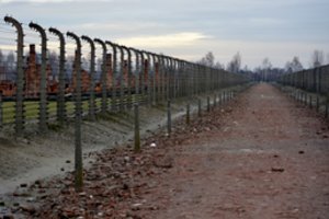 Lietuvos pilietis nubaustas už nacistinį pasveikinimą Aušvico memoriale