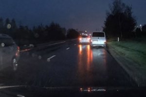 Dar neprašvitus greta Vilniaus 2 automobiliai susidūrė su briedžiu – gyvūnas žuvo