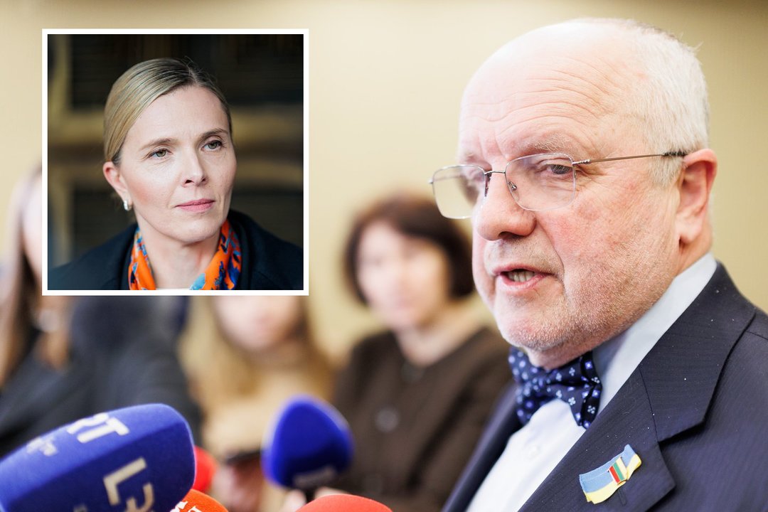 J. Olekas užminė mįslę dėl A. Bilotaitės pasitraukimo: yla išlenda iš maišo, luktelkime