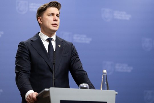 Beda pirštu į lyderystės neturintį M. Sinkevičių: įvardijo, kur pagrindinė kliūtis