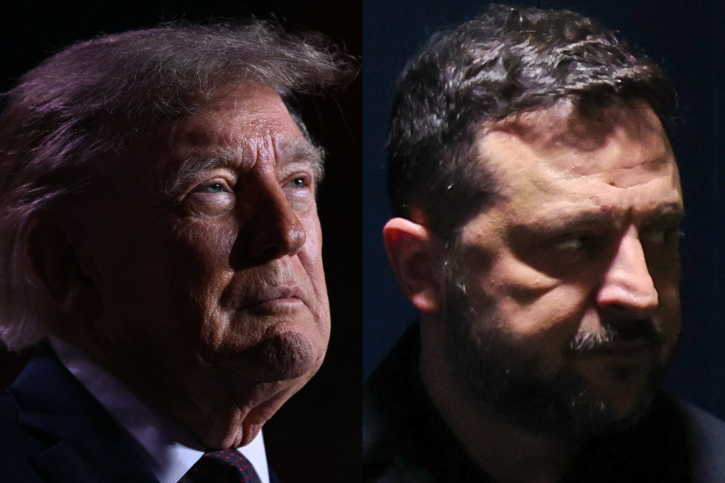 D. Trumpas, V. Zelenskis.<br>Lrytas koliažas.