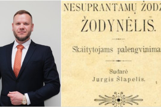Padaugėjus rusakalbių šalyje, grėsmės lietuvių kalbai nemato: reikia atskirti du dalykus
