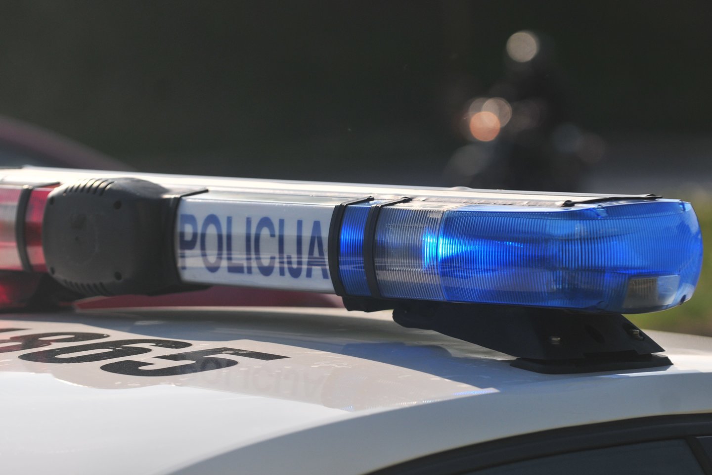 Policija.<br>A.Vaitkevičiaus nuotr.