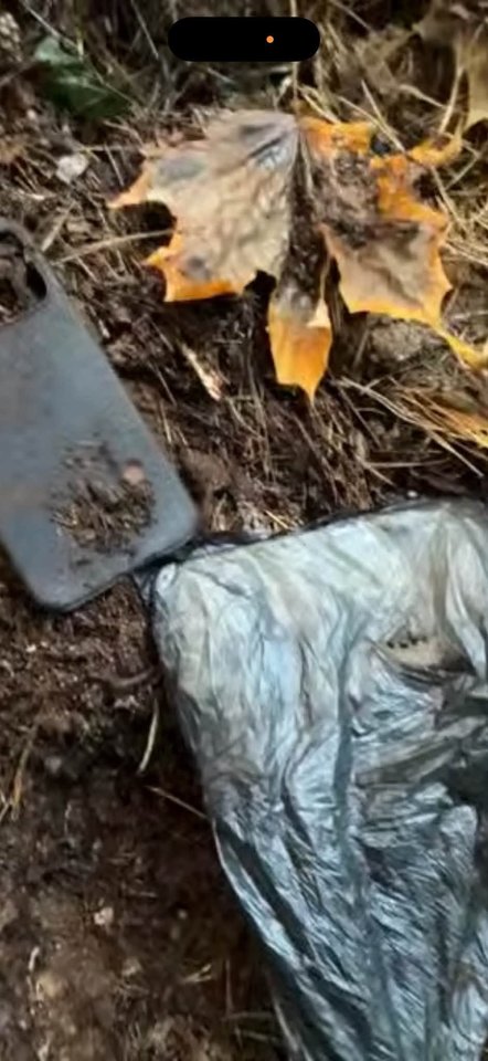 Galiausiai išmanusis buvo rastas Vingio parke, netoli gyvenamojo pastato. Pasak moters, įrenginys buvo susuktas į maišelį ir užkastas.<br>Asmeninio archyvo nuotr.