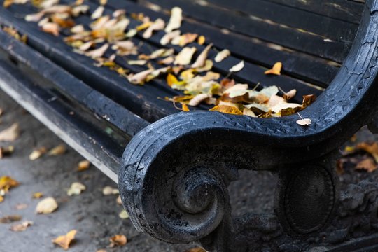 Sinoptikai skelbia: artėjant savaitgaliui laukia šalnos ir rūkas