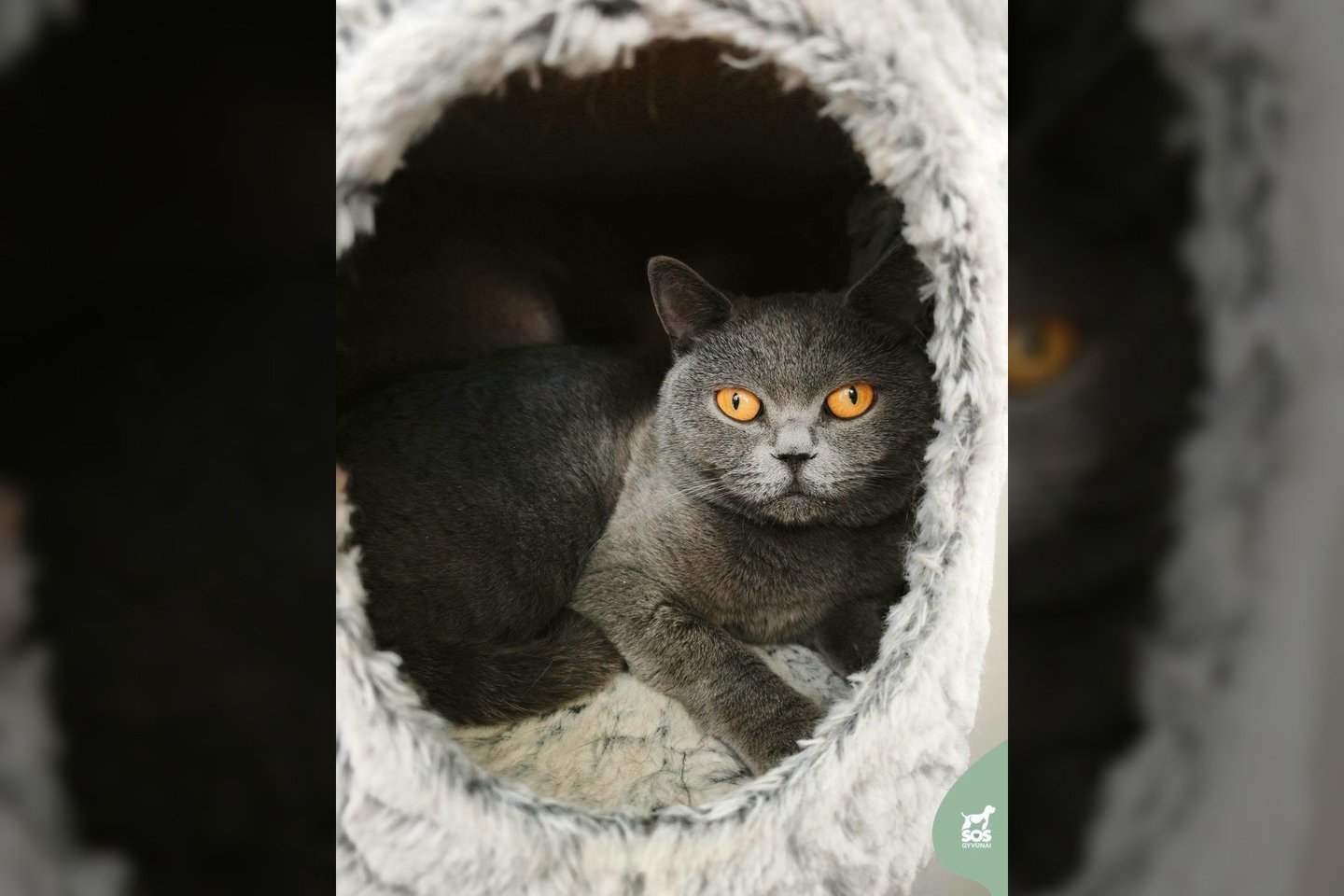 Selenė ieško žmonių, kurie supras, kad pasitikėjimas neatsiranda per vieną dieną.