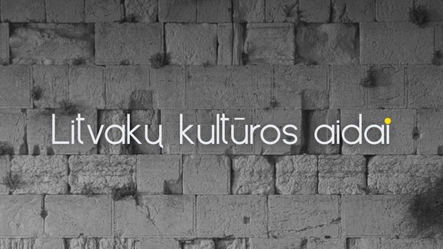 „Litvakų kultūros aidai“. Tapytojas Nadav Naor