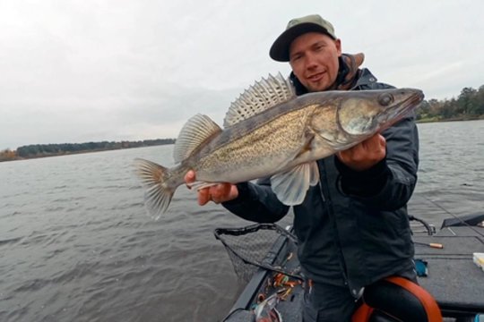 „Šiandien kimba“. Kupiškio marių starkiai