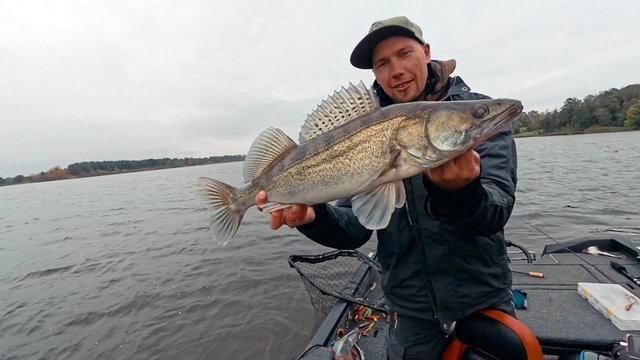 „Šiandien kimba“. Kupiškio marių starkiai