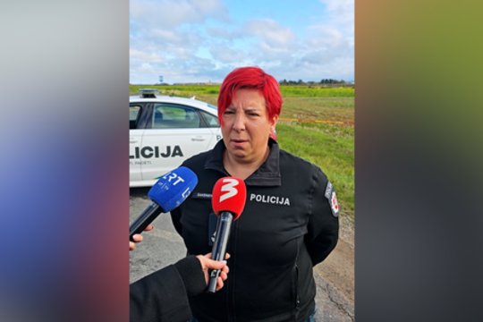 Pateikė daugiau detalių apie drono incidentą: nukentėjo civilinis automobilis, tačiau sužeistų nėra