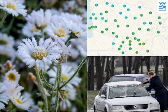 Praėjusią naktį vėl kandžiojosi šalnos: skelbia, kur buvo smarkiausios