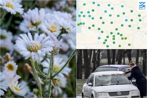 Praėjusią naktį vėl kandžiojosi šalnos: skelbia, kur buvo smarkiausios
