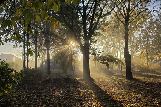 Po ramesnių orų laikotarpio – permainingos dienos: sulauksime ir šilumos