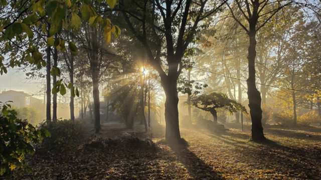 Po ramesnių orų laikotarpio – permainingos dienos: sulauksime ir šilumos