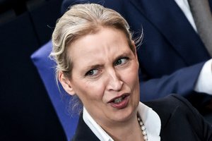 Vokietijos AfD pranešė tirianti galimą elektroninių laiškų vagystę