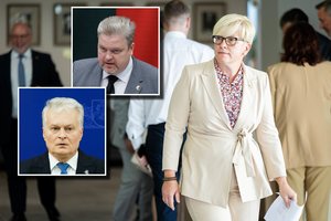 I. Šimonytė žeria kritiką ne tik T. Valiui, bet ir Prezidentūrai: klaidina žmones