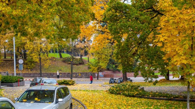 Vyraus niūrūs ir darganoti orai: vėjo gūsiai nebus malonūs