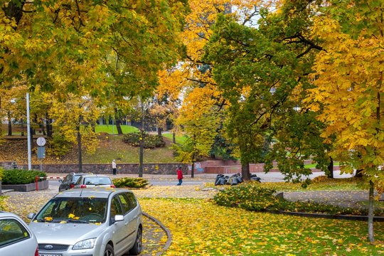 Vyraus niūrūs ir darganoti orai: vėjo gūsiai nebus malonūs