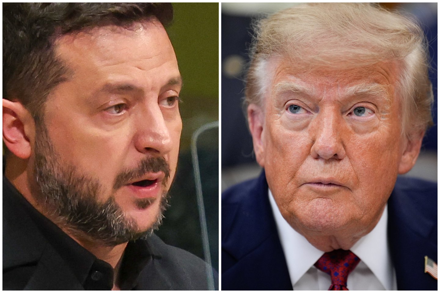 D. Trumpas ir V. Zelenskis.