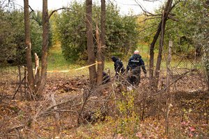 Prezidentas turi daugiau informacijos apie droną