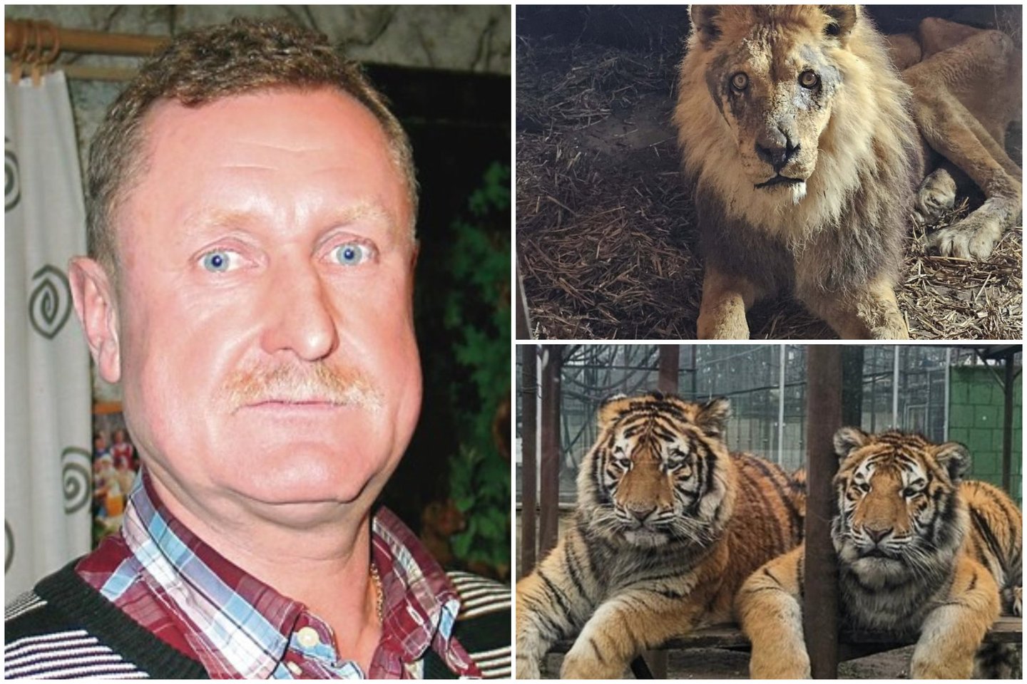 Tigrę nušovęs ir leidimą veikti Klaipėdos zoologijos sodui praradęs E. Legeckas steigia naują įstaigą.