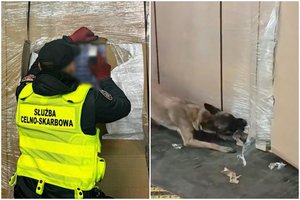 Lietuvis į Lenkiją vilkiku gabeno milijonais vertinamą cigarečių kontrabanda – gresia kalėjimas iki 10 metų