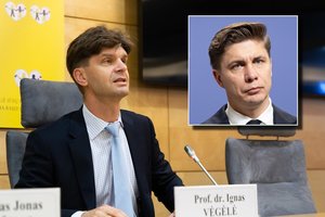 Po vizito į Briuselį – į M. Sinkevičiaus kabinetą: I. Vėgėlė premjerui perdavė žinias iš kinų 