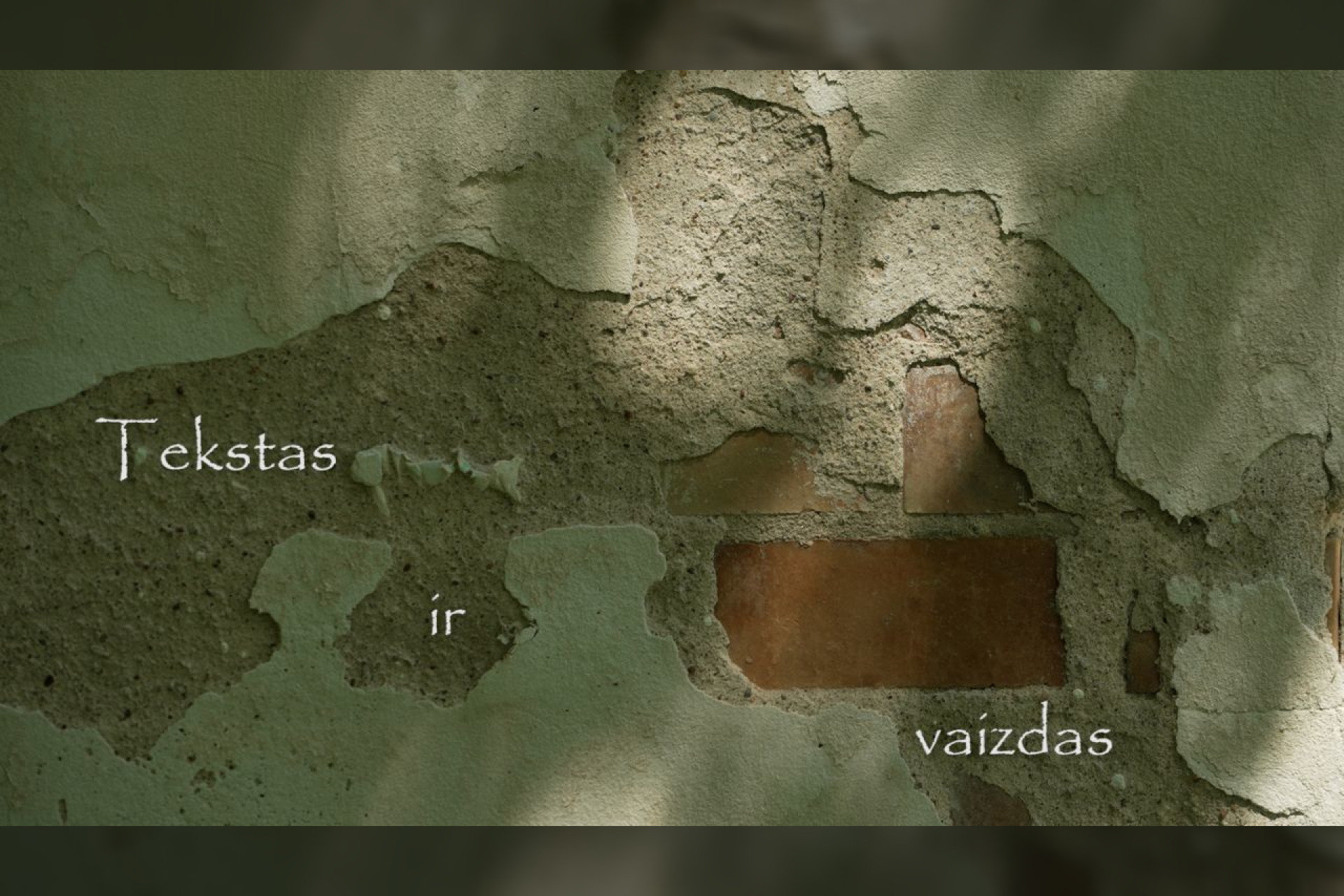 Tekstas ir vaizdas