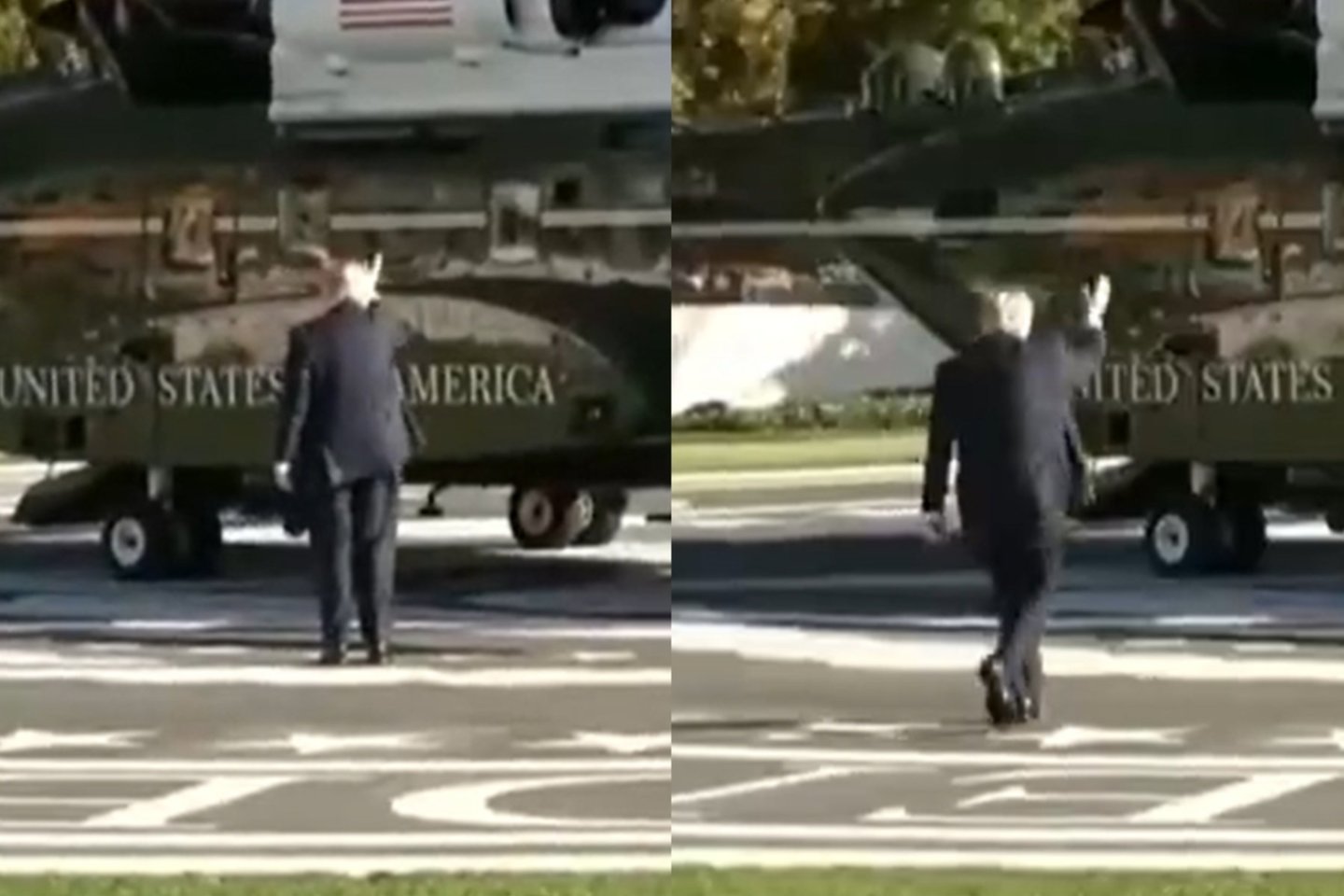 D. Trumpas.