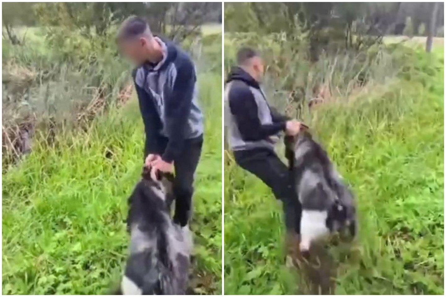 Užfiksavo, kaip jaunas vyras elgiasi su gyvūnu.