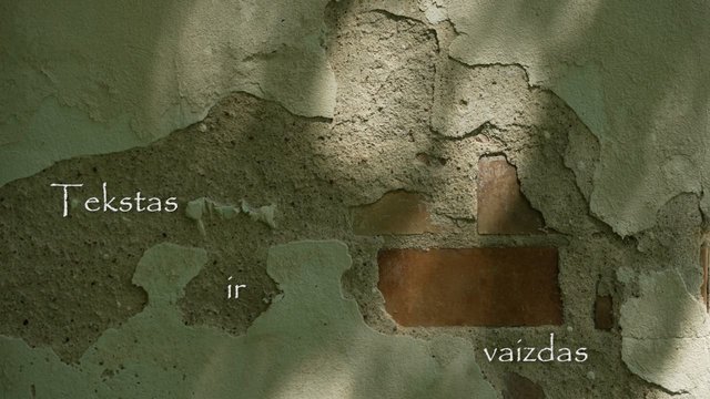 Poetė Rūta Vyžintaitė: klajonės Kauno centru ir periferijomis