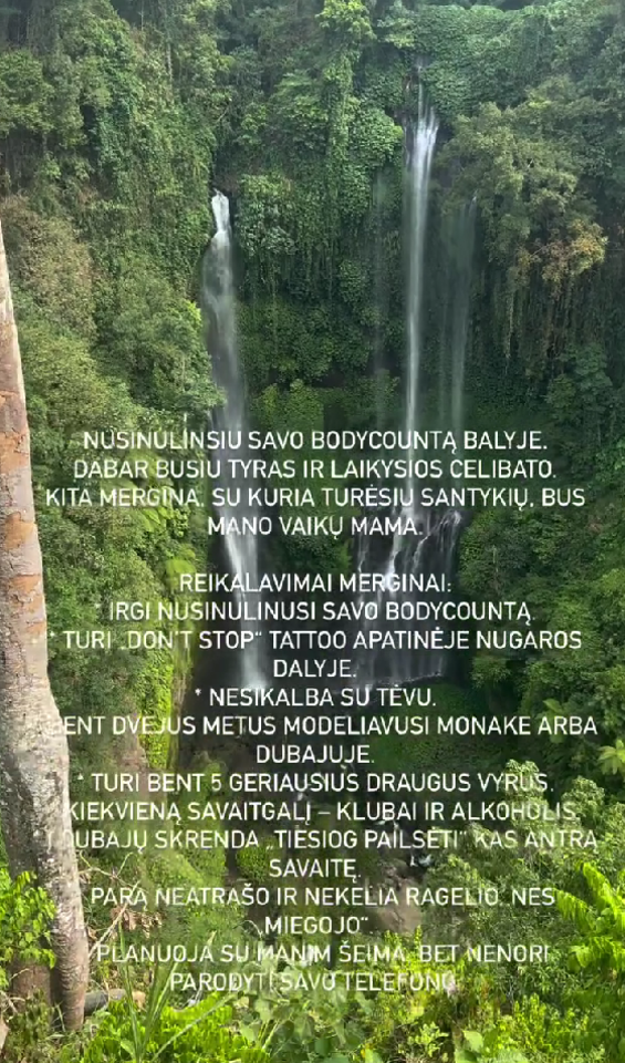 D. Dirksčio reikalavimai.<br>Stop kadras.