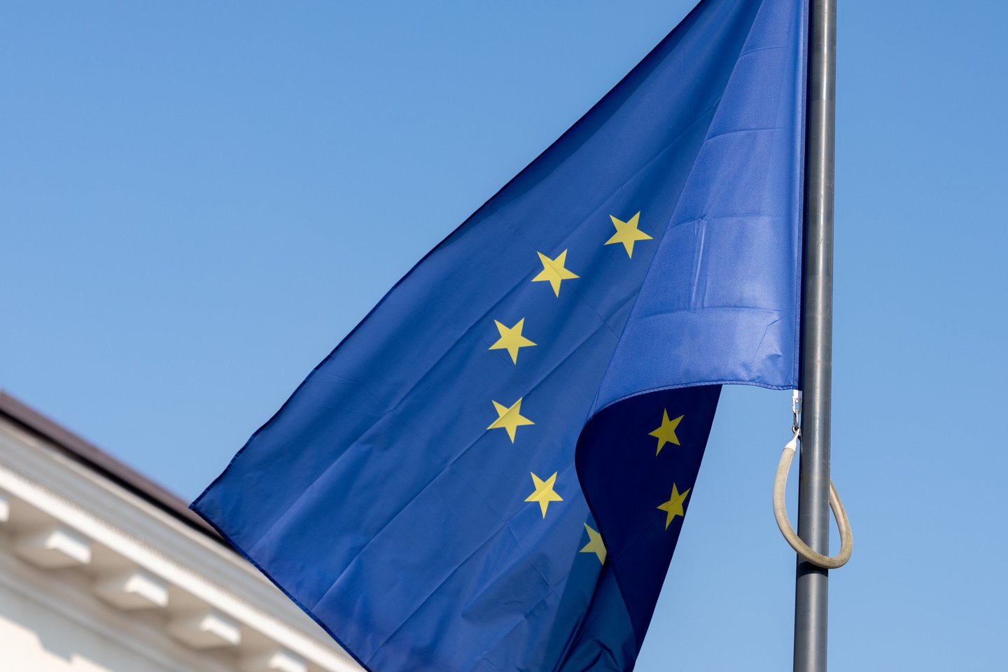 Europos Sąjungos vėliava.