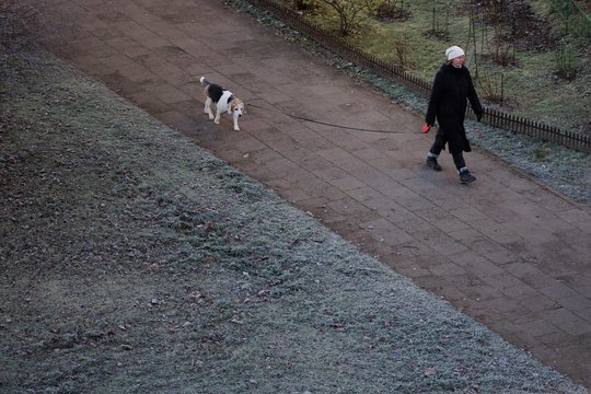 Klimatologas skelbia, kokie orai laukia lapkričio pabaigoje: prognozė gali nustebinti