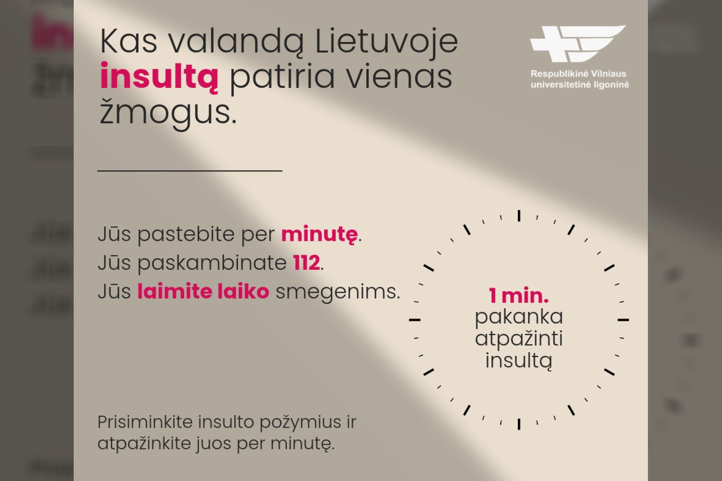 Pasaulinė insulto diena<br>RVUL vizualas