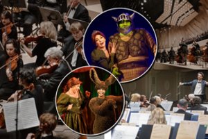 Nuo pasaulinės klasikos iki įspūdingų miuziklų: lapkritį muzikos mylėtojams paruošta ne viena staigmena