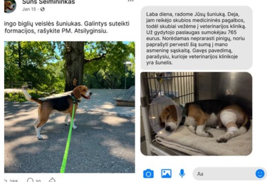 Ieškantiems dingusių augintinių – nauji sukčių spąstai: sunku patikėti, ką jie sugeba