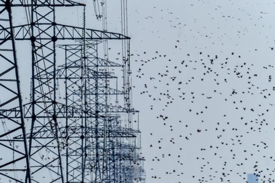 Elektros kaina šalyje smuko 42 proc. – aiškėja, kas tai nulėmė