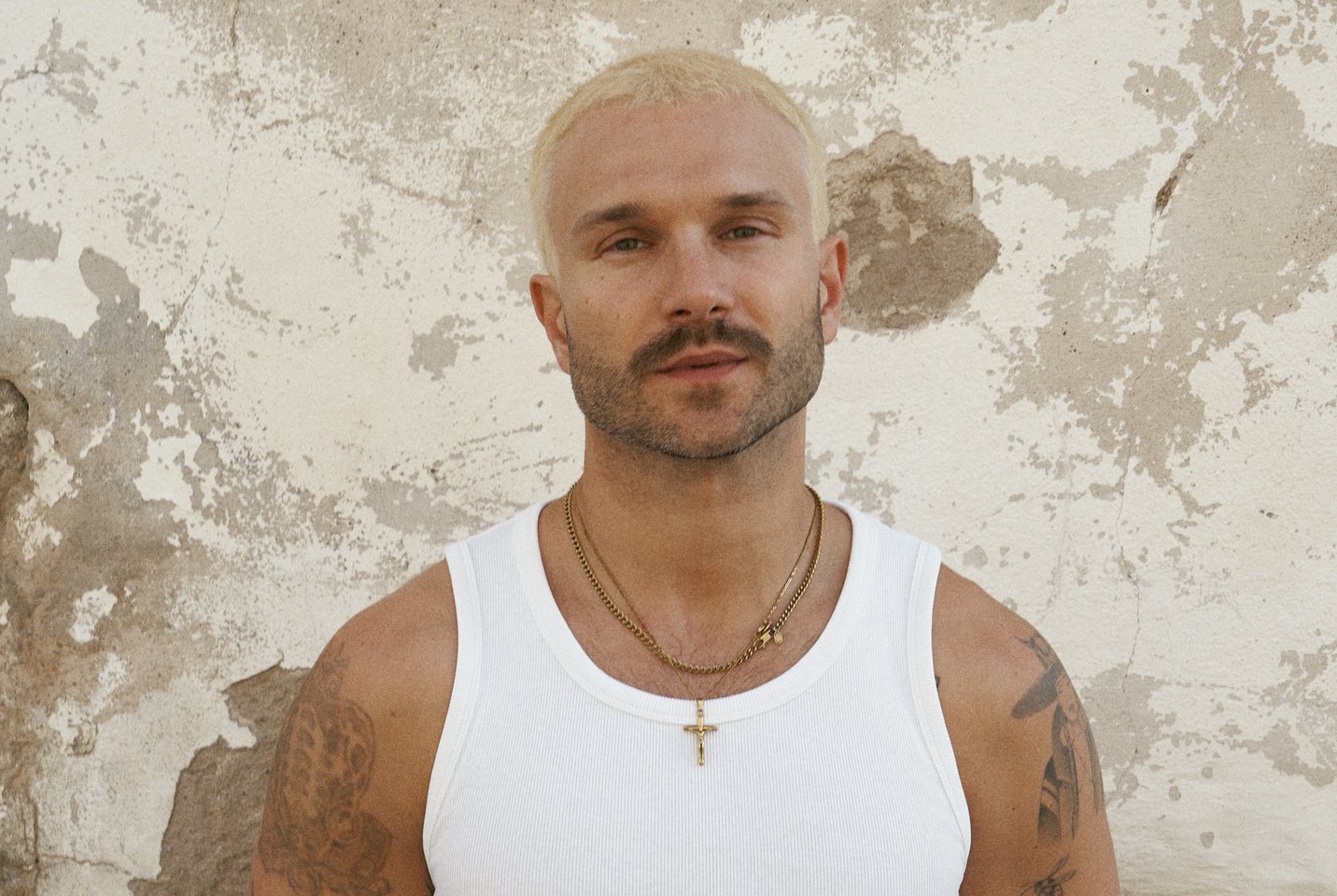 Vaidas Baumila.