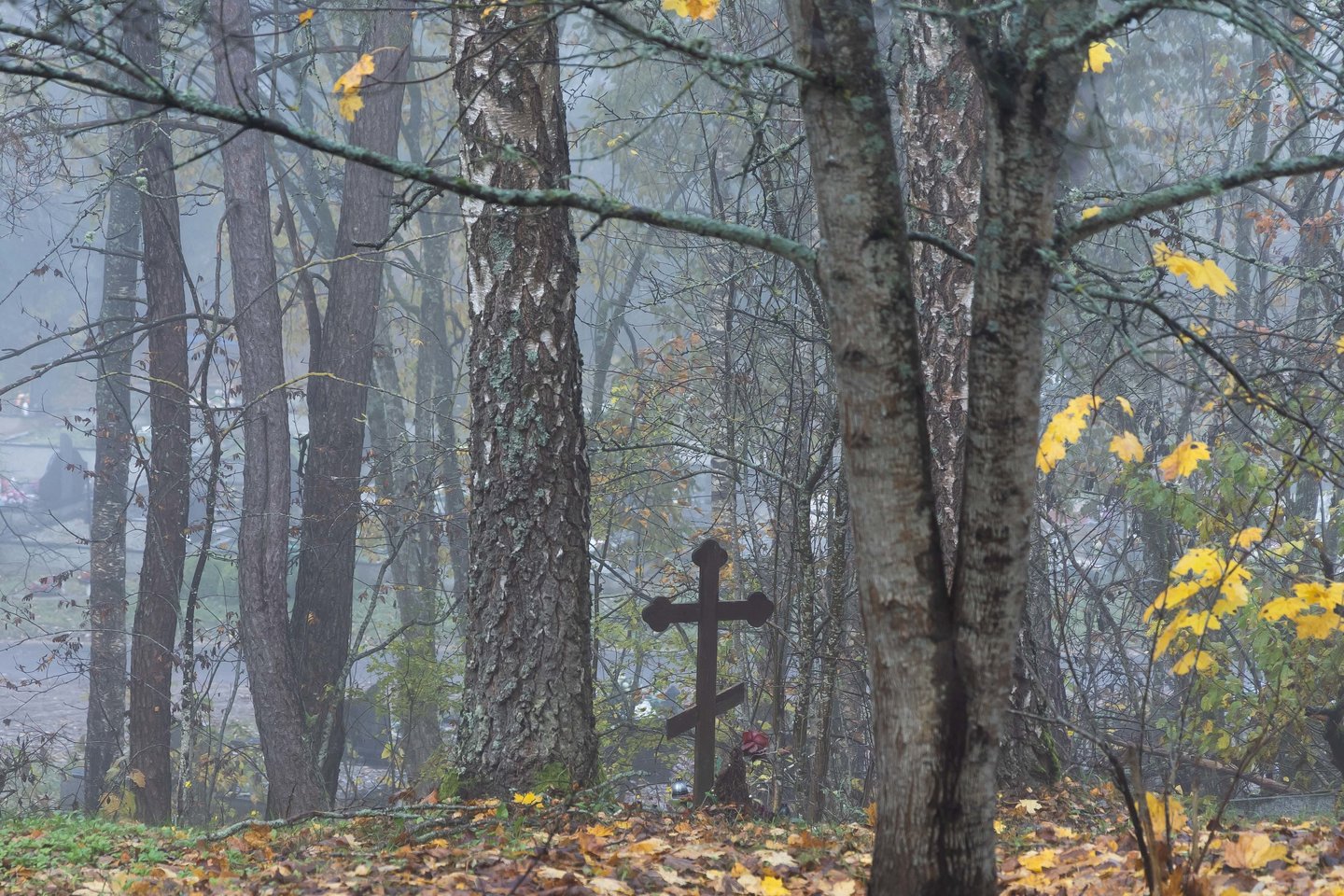 Vienišų ir neatpažintų žmonių kapų tvarkymas Karveliškių kapinėse.<br>D. Labučio/ELTA nuotr.