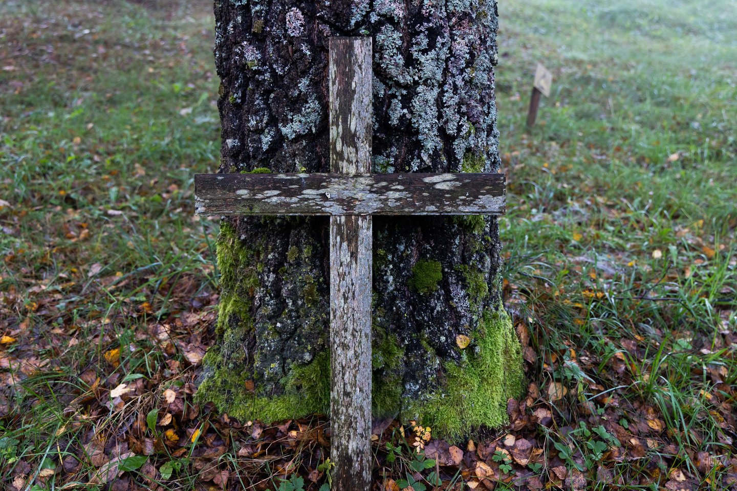 Vienišų ir neatpažintų žmonių kapų tvarkymas Karveliškių kapinėse.<br>D. Labučio/ELTA nuotr.