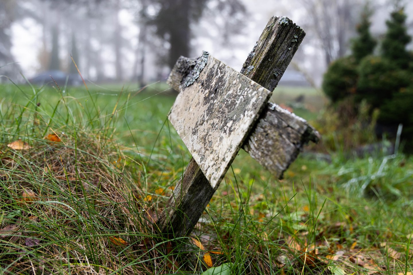 Vienišų ir neatpažintų žmonių kapų tvarkymas Karveliškių kapinėse.<br>D. Labučio/ELTA nuotr.