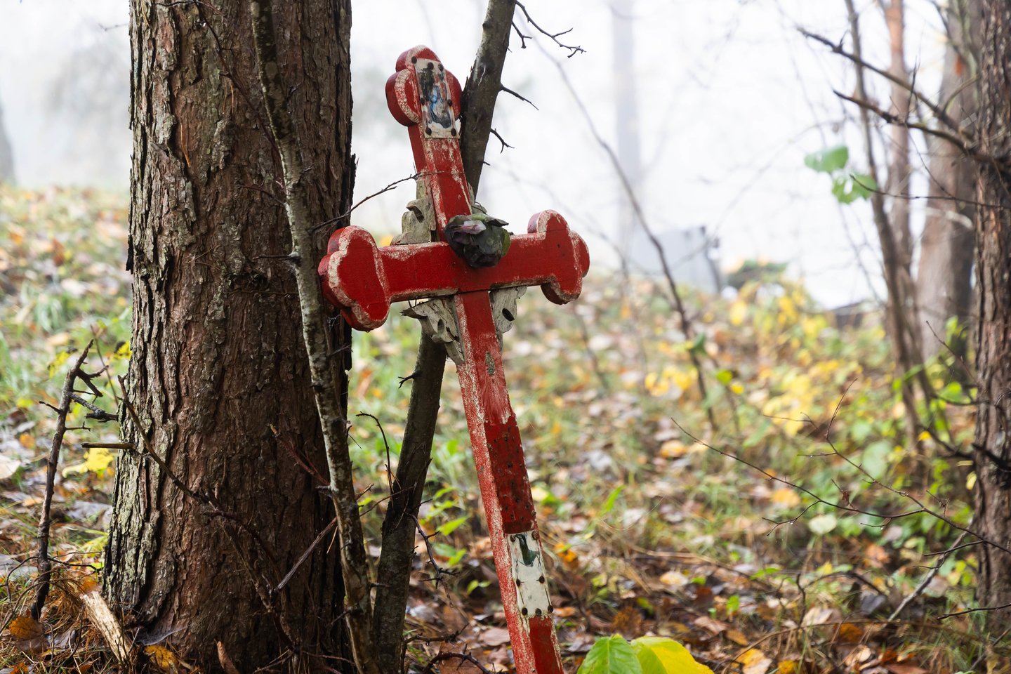Vienišų ir neatpažintų žmonių kapų tvarkymas Karveliškių kapinėse.<br>D. Labučio/ELTA nuotr.